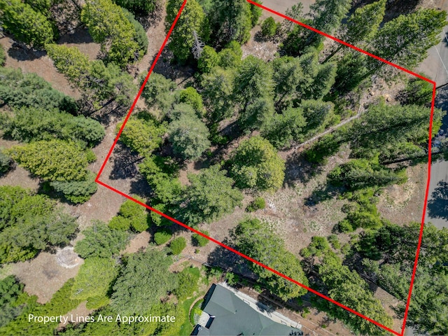 Mountain Meadow Rd, Shingletown, CA 96088