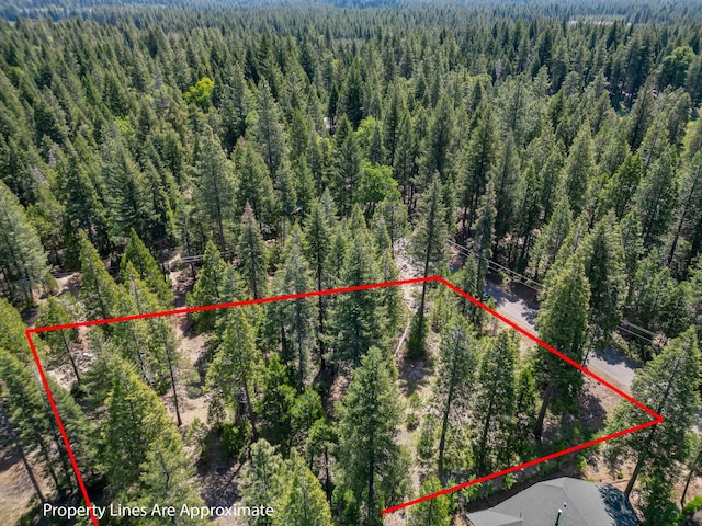 Mountain Meadow Rd, Shingletown, CA 96088