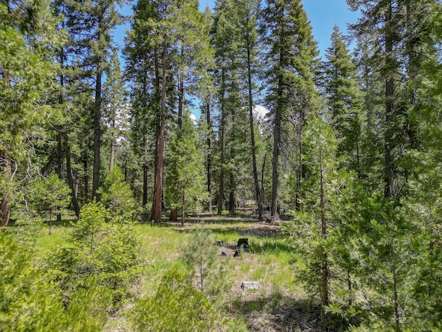 Mountain Meadow Rd, Shingletown, CA 96088