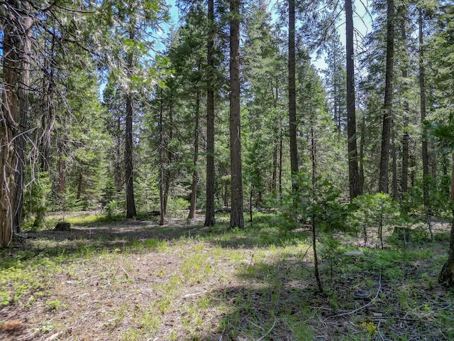 Mountain Meadow Rd, Shingletown, CA 96088