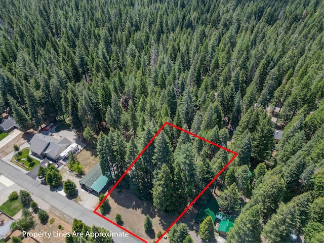 Nehemiah Dr, Shingletown, CA 96088