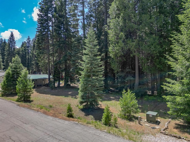 Nehemiah Dr, Shingletown, CA 96088