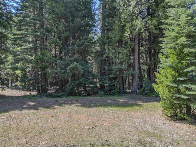 Nehemiah Dr, Shingletown, CA 96088