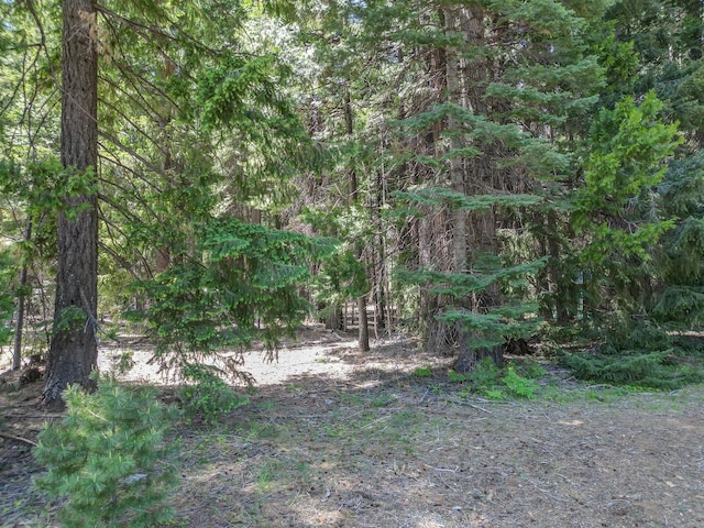 Nehemiah Dr, Shingletown, CA 96088