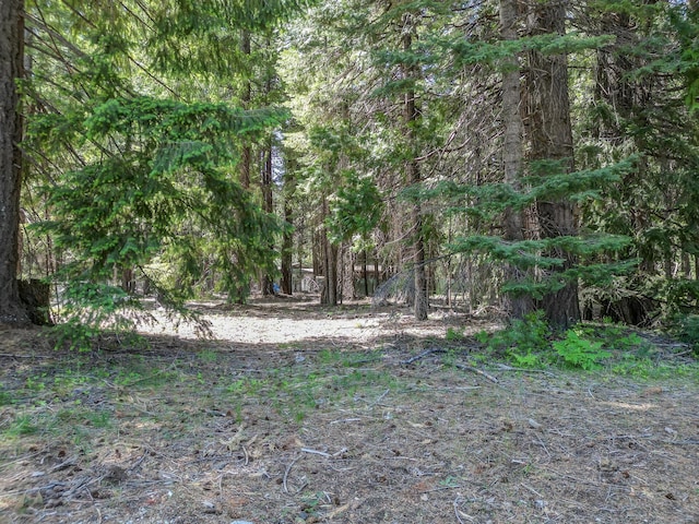 Nehemiah Dr, Shingletown, CA 96088