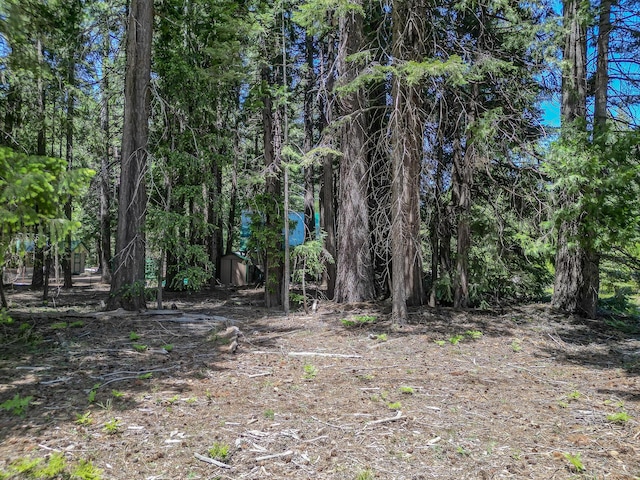 Nehemiah Dr, Shingletown, CA 96088