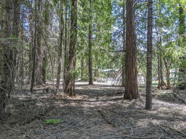 Nehemiah Dr, Shingletown, CA 96088