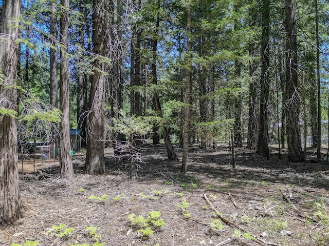 Nehemiah Dr, Shingletown, CA 96088