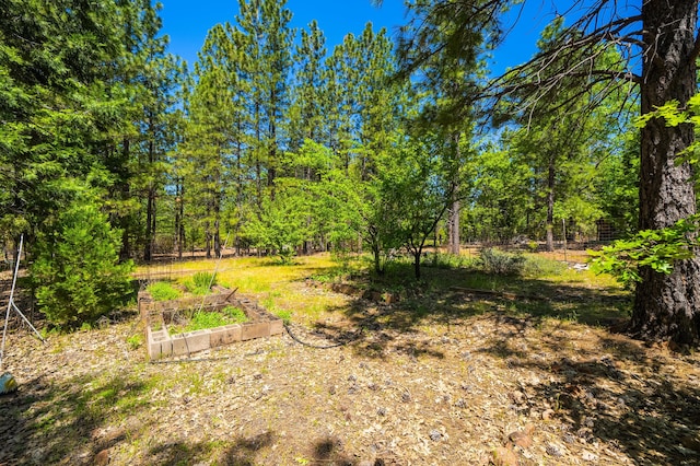 10648 Honey Bear Ln, Whitmore, CA 96096 - photo 24
