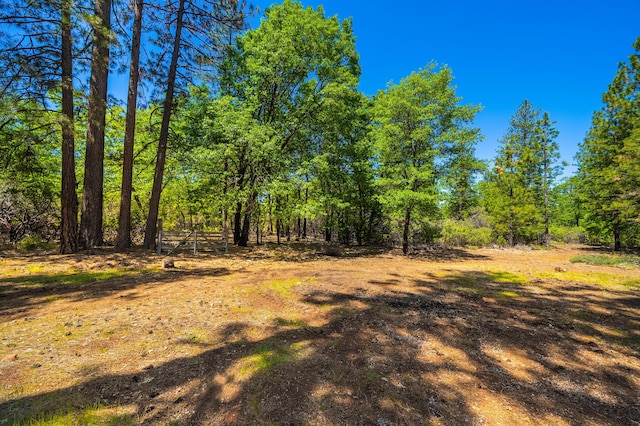 10648 Honey Bear Ln, Whitmore, CA 96096 - photo 26