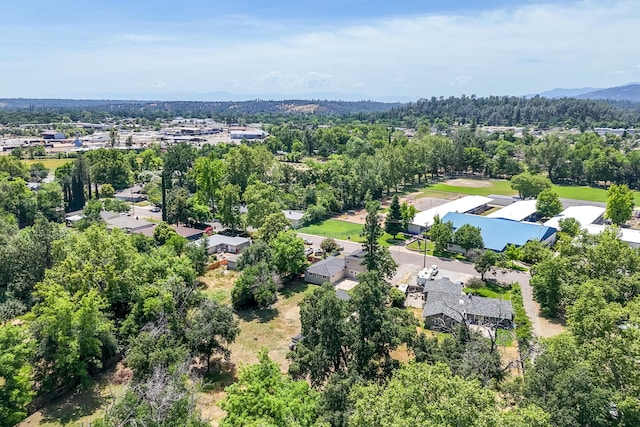 5101 Bidwell Rd, Redding, CA 96001 - aerial view