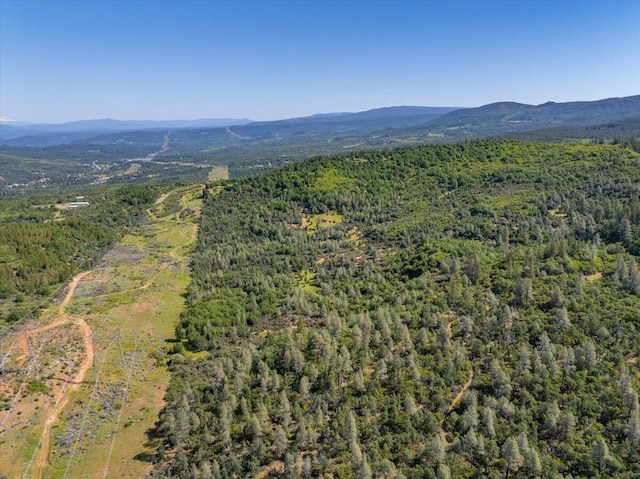 Melton Rd, Round Mountain, CA 96084 - photo 2