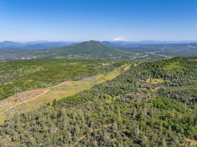 Melton Rd, Round Mountain, CA 96084 - photo 3