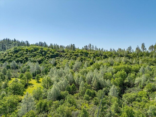 Melton Rd, Round Mountain, CA 96084 - photo 5