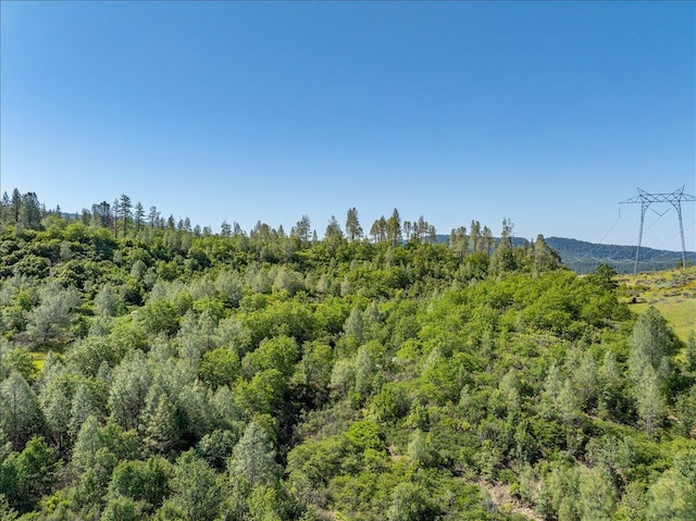 Melton Rd, Round Mountain, CA 96084 - photo 6