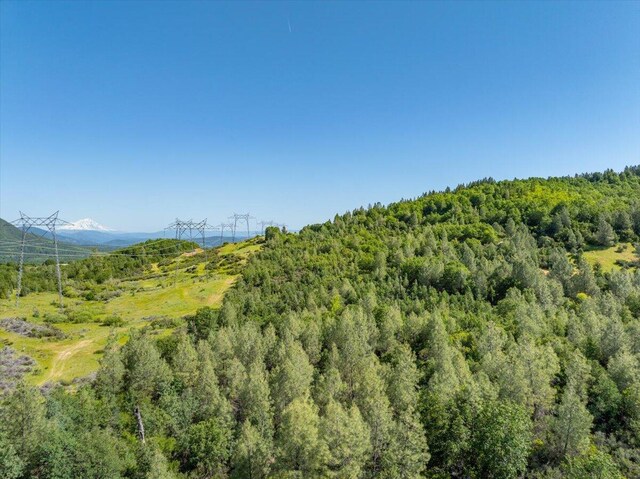 Melton Rd, Round Mountain, CA 96084 - photo 7
