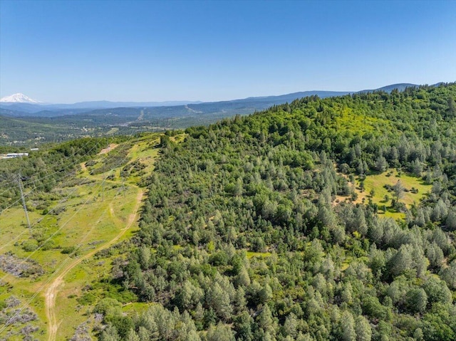 Melton Rd, Round Mountain, CA 96084 - photo 8