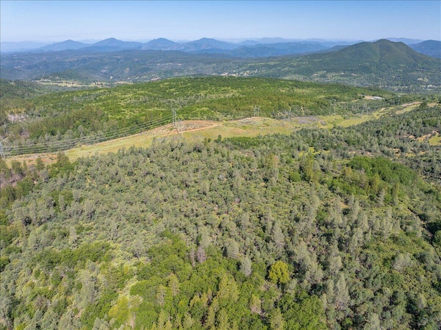 Melton Rd, Round Mountain, CA 96084 - photo 10