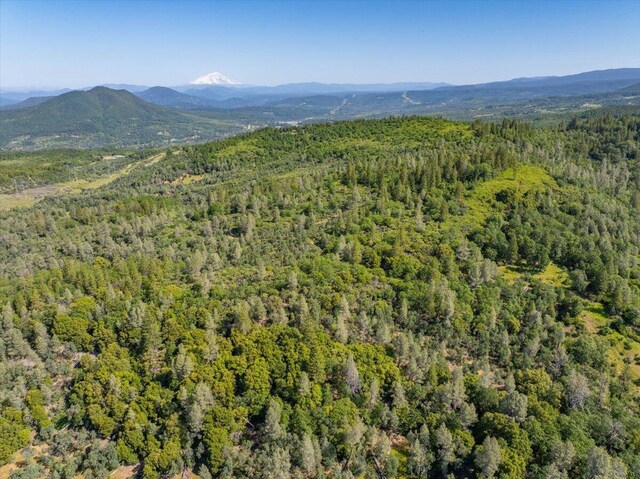 Melton Rd, Round Mountain, CA 96084 - photo 11