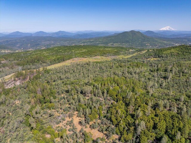 Melton Rd, Round Mountain, CA 96084 - photo 12