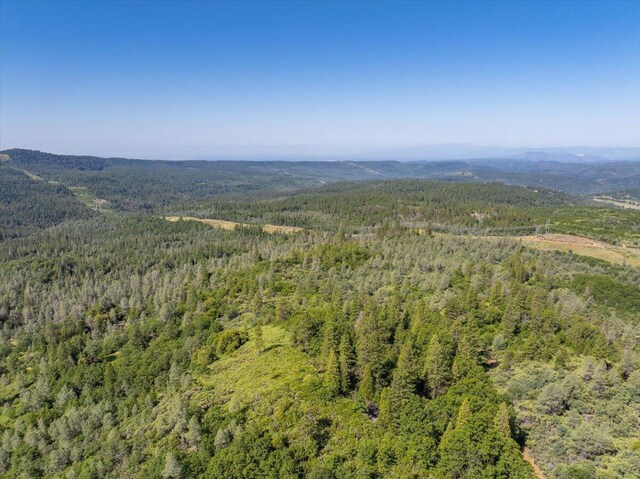 Melton Rd, Round Mountain, CA 96084 - photo 14
