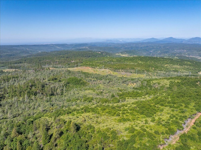 Melton Rd, Round Mountain, CA 96084 - photo 16