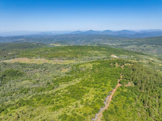 Melton Rd, Round Mountain, CA 96084 - photo 17