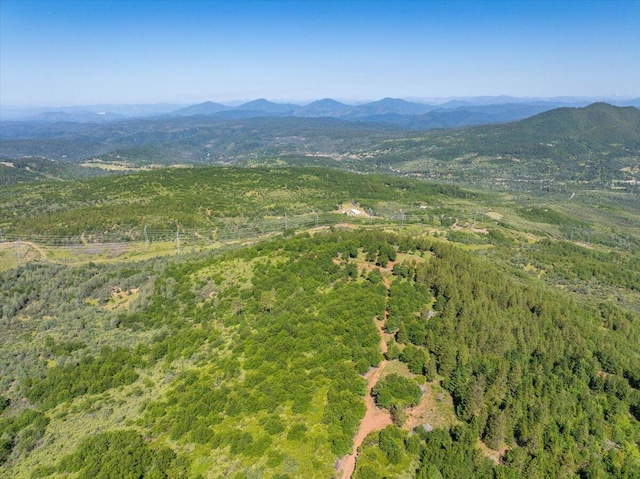Melton Rd, Round Mountain, CA 96084 - photo 18