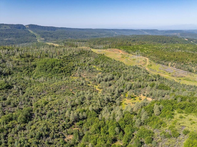 Melton Rd, Round Mountain, CA 96084 - photo 19