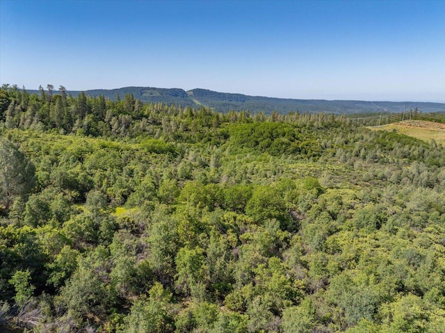 Melton Rd, Round Mountain, CA 96084 - photo 22