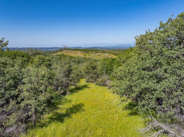Melton Rd, Round Mountain, CA 96084 - photo 9