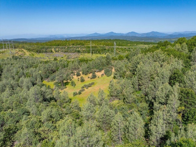 Melton Rd, Round Mountain, CA 96084 - photo 23