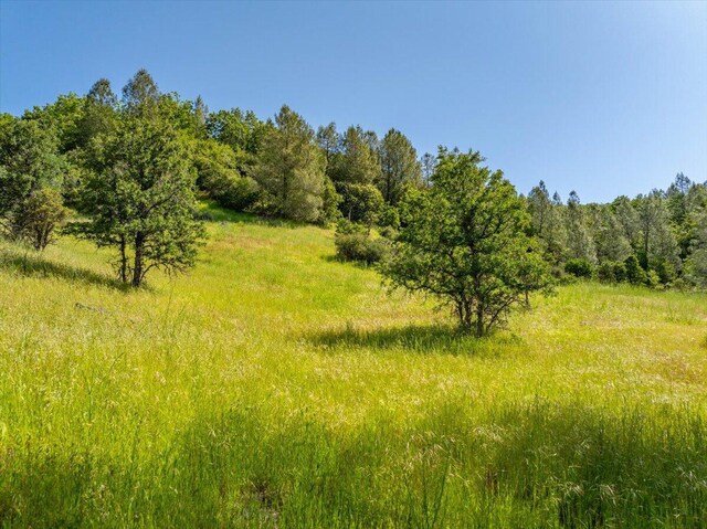 Melton Rd, Round Mountain, CA 96084 - photo 15