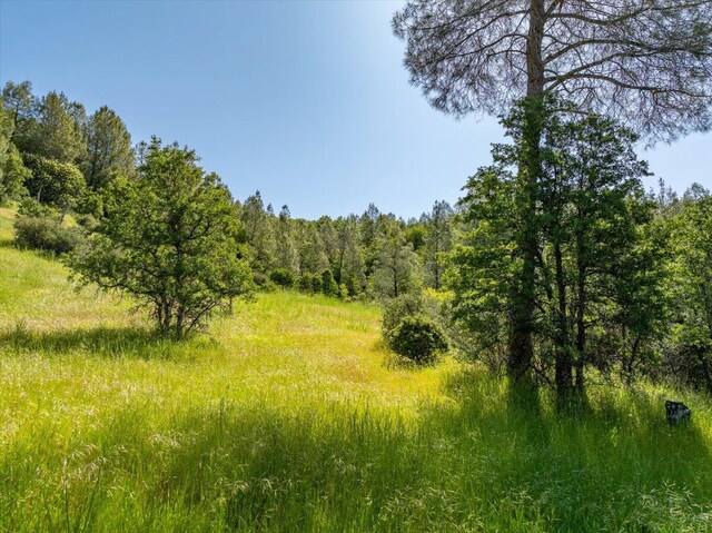 Melton Rd, Round Mountain, CA 96084 - photo 20