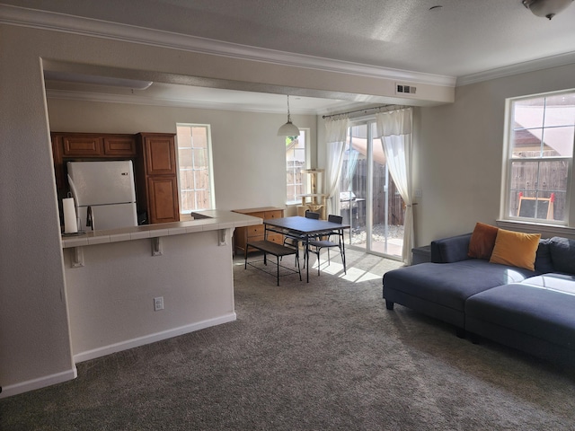 2340 Shining Star Way, Redding, CA 96003 - living area featuring ornamental molding, carpet, healthy amount of natural light, and baseboards