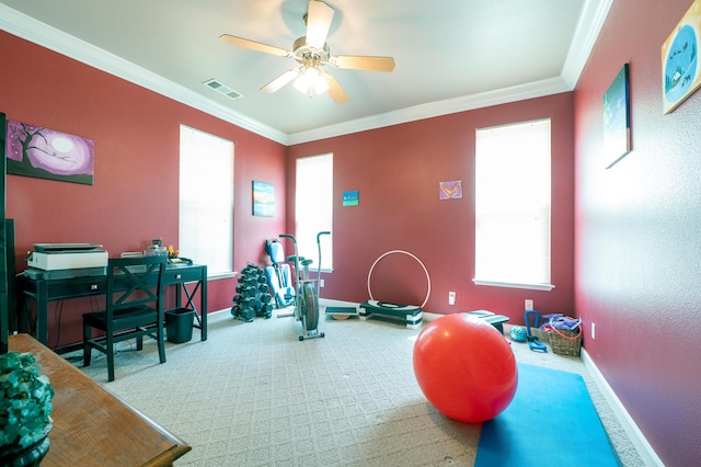 24943 Cox Ln, Los Molinos, CA 96055 - workout area featuring carpet flooring, ceiling fan, ornamental molding, and baseboards