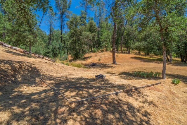 17972 Wild Weed Way, Anderson, CA 96007 - photo 26