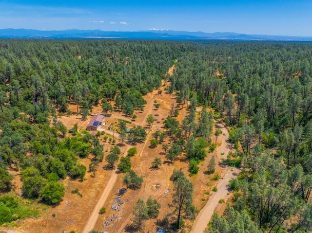 17972 Wild Weed Way, Anderson, CA 96007 - photo 44