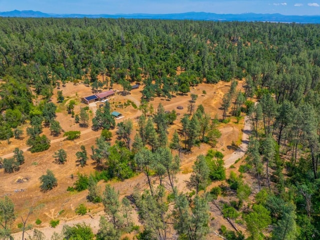 17972 Wild Weed Way, Anderson, CA 96007 - photo 45
