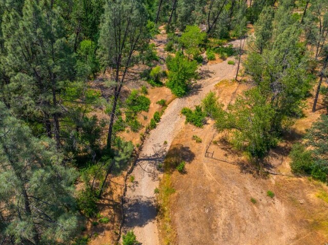 17972 Wild Weed Way, Anderson, CA 96007 - photo 47