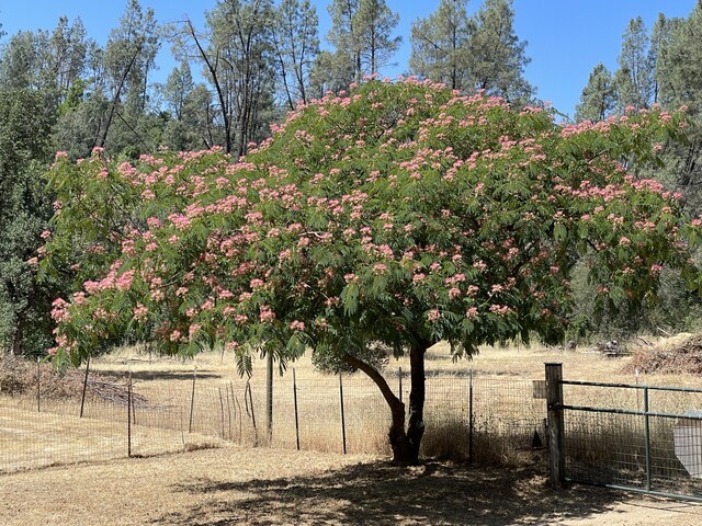 17972 Wild Weed Way, Anderson, CA 96007 - photo 96