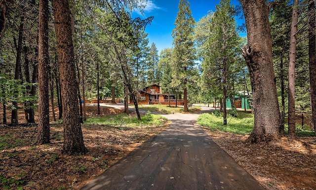 29230 Fenders Ferry Rd, Round Mountain, CA 96084 - photo 3