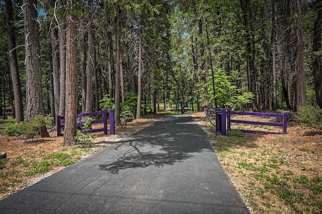 29230 Fenders Ferry Rd, Round Mountain, CA 96084 - photo 4