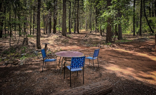 29230 Fenders Ferry Rd, Round Mountain, CA 96084 - photo 6