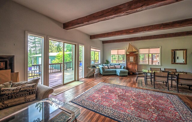 29230 Fenders Ferry Rd, Round Mountain, CA 96084 - photo 17