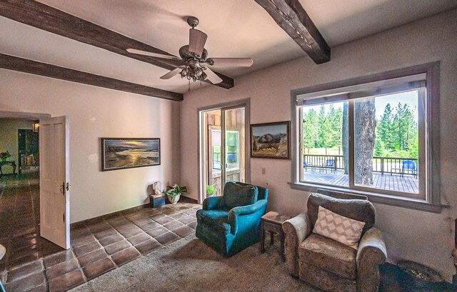 29230 Fenders Ferry Rd, Round Mountain, CA 96084 - photo 22