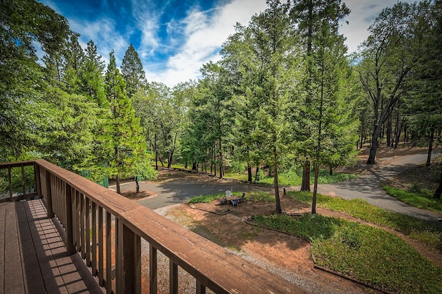 29230 Fenders Ferry Rd, Round Mountain, CA 96084 - photo 38