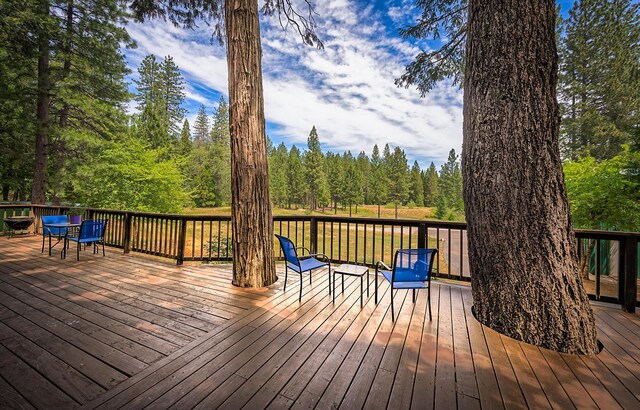 29230 Fenders Ferry Rd, Round Mountain, CA 96084 - photo 40