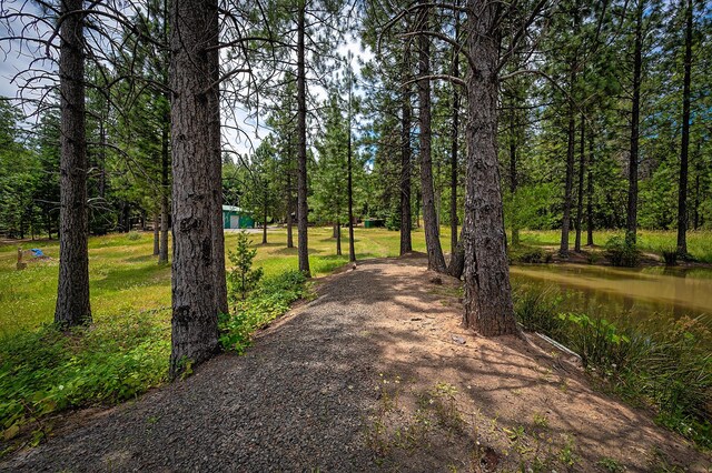 29230 Fenders Ferry Rd, Round Mountain, CA 96084 - photo 47