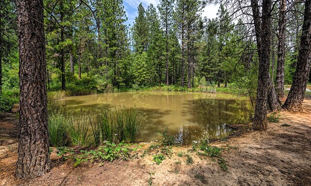 29230 Fenders Ferry Rd, Round Mountain, CA 96084 - photo 50